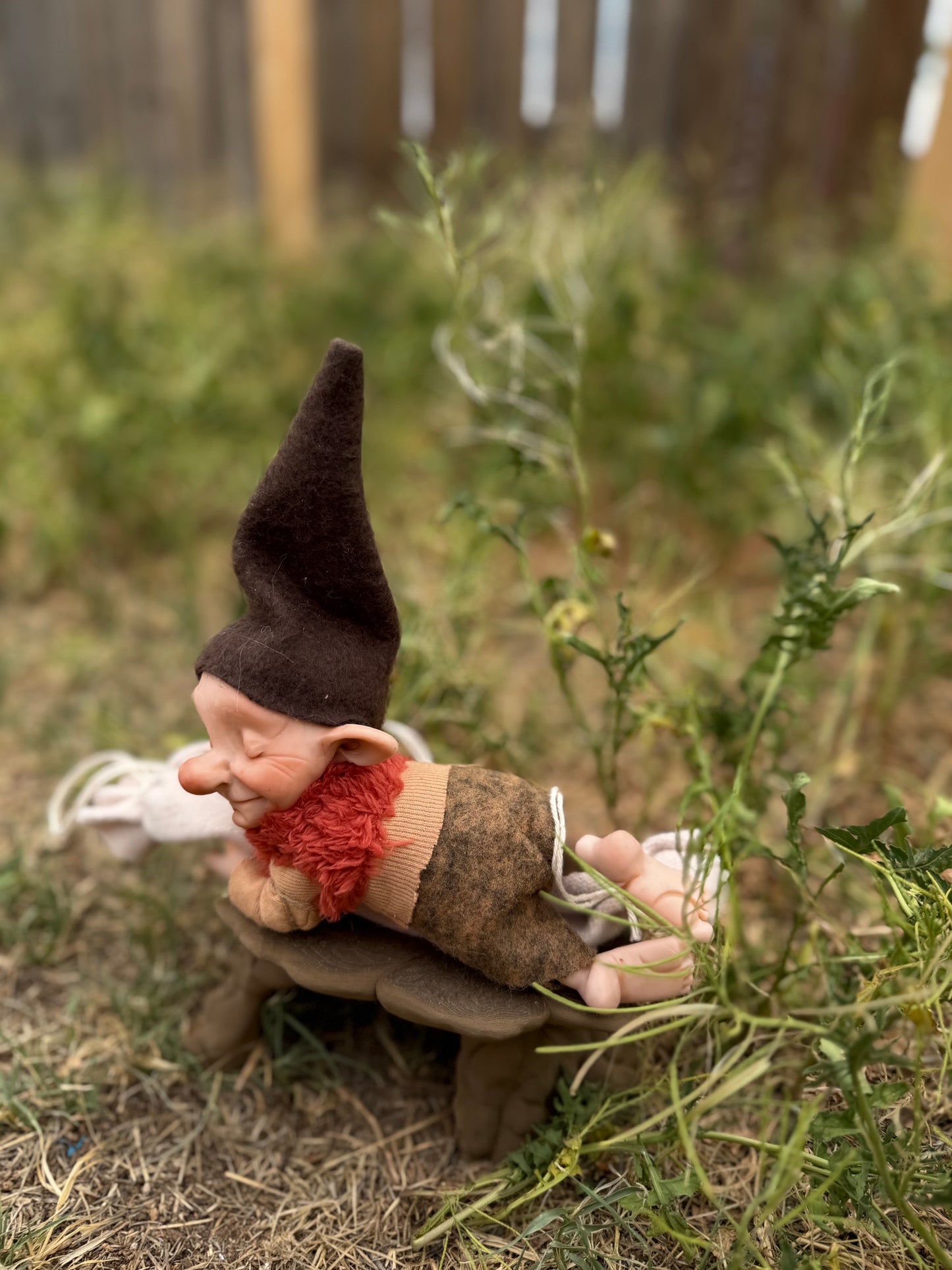 Duende Dormilón