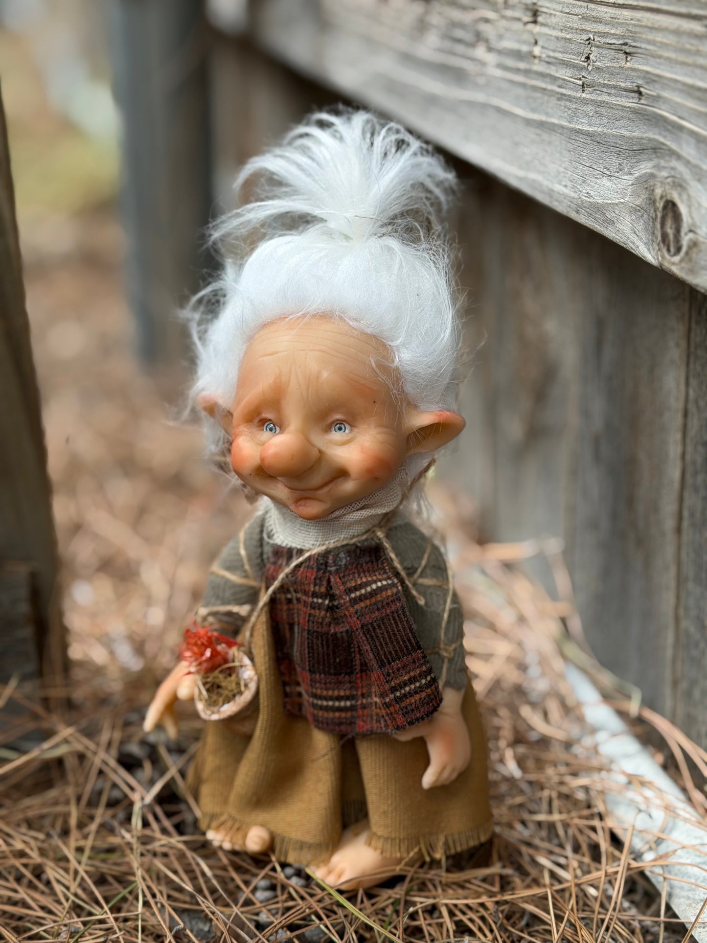 La Abuela, The Elderwood Keepers – The Keeper of Seeds