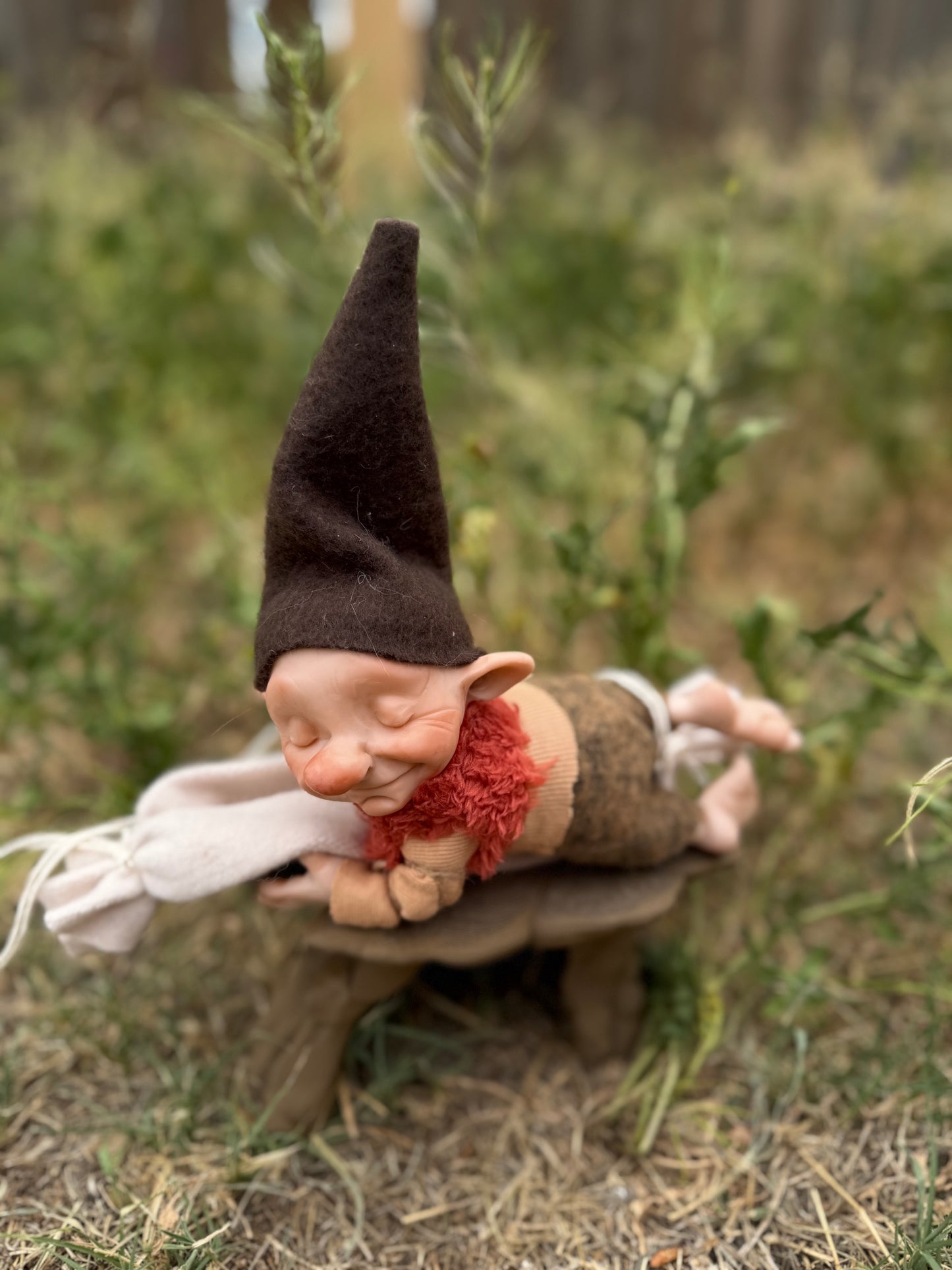 Duende Dormilón