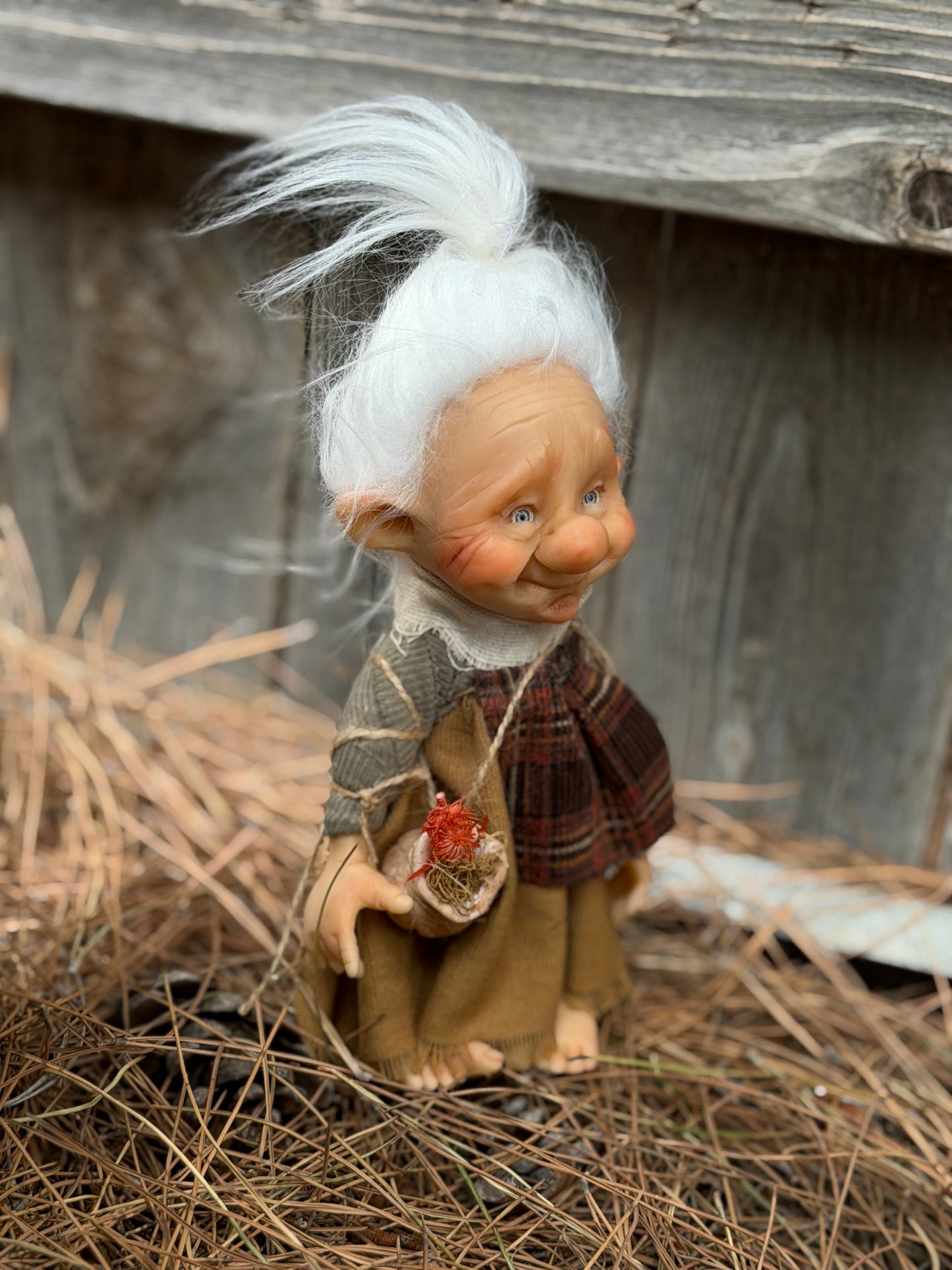 La Abuela, The Elderwood Keepers – The Keeper of Seeds